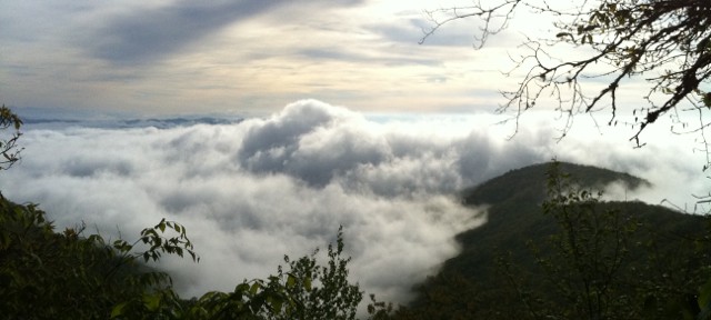 Copper Ridge Bald - Appalachian Trail