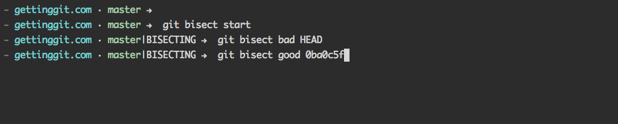 Starting git bisect